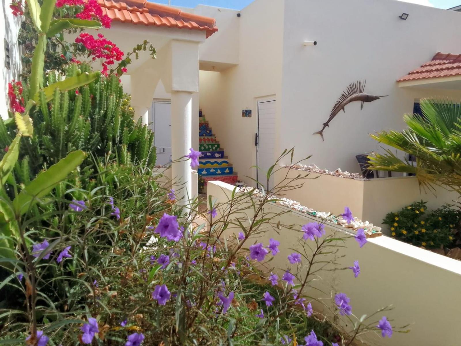 Casa Djarmai Boutique Apartments Cidade do Maio Dış mekan fotoğraf